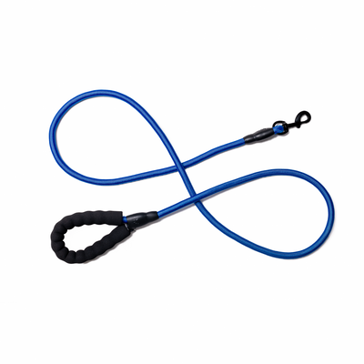 blue Rope Doggy Leash