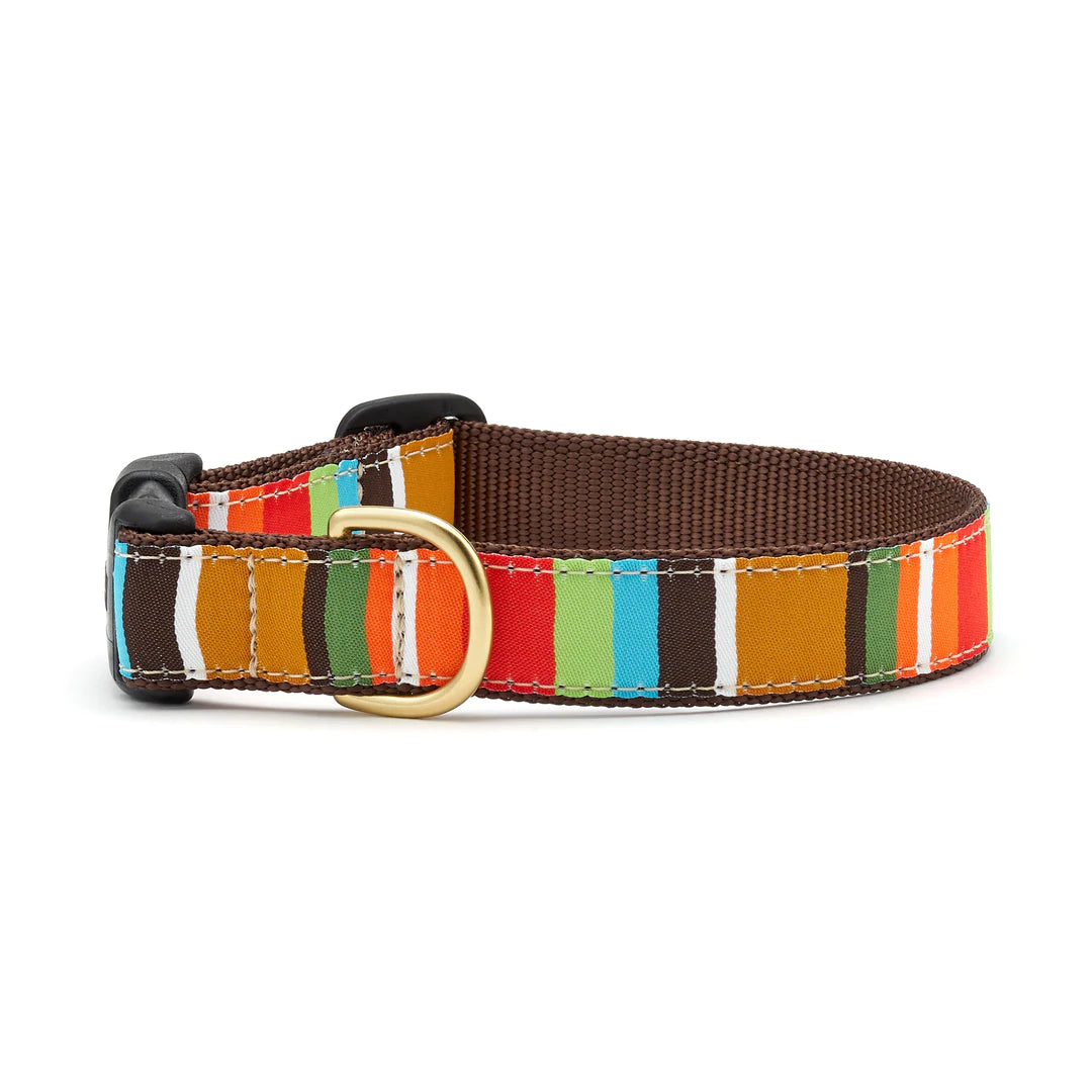 brown stripe doggy collar