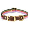 large Rainbow Trout Adjustable Doggy Collar