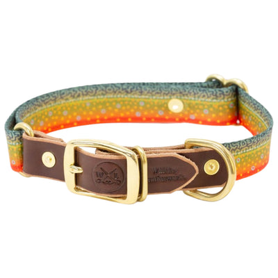 large brook trout adjustable doggy collar