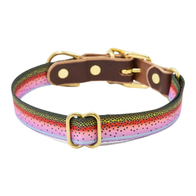 small Rainbow Trout Adjustable Doggy Collar