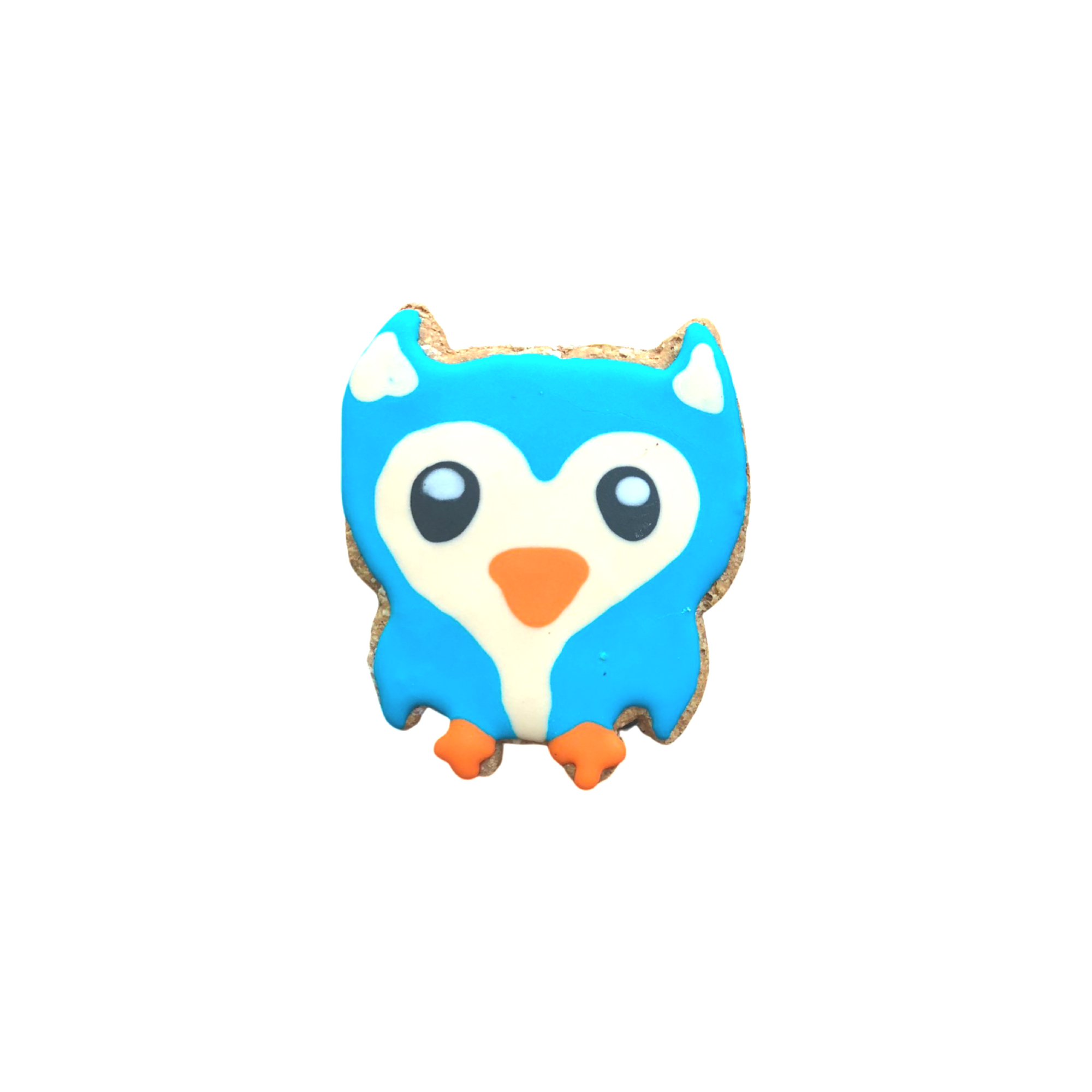 Owl - Medium Decorated Doggy Cookie