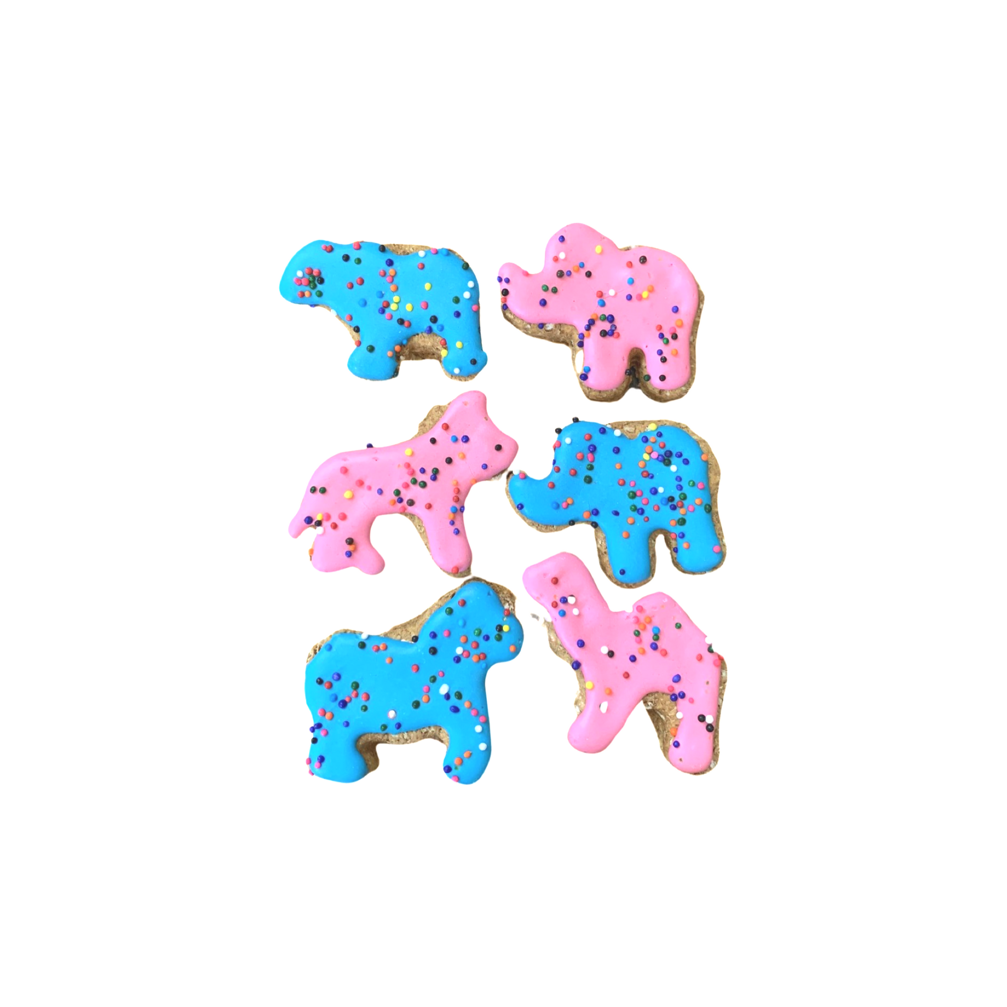 Animals - Large Decorated Doggy Cookies