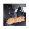 dog using Adjustable Doggy Seat Belt