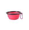 pink Collapsible Doggy Bowl