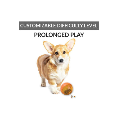 corgy playing with Smarter Toys IQ Treat Ball - 3" Diameter